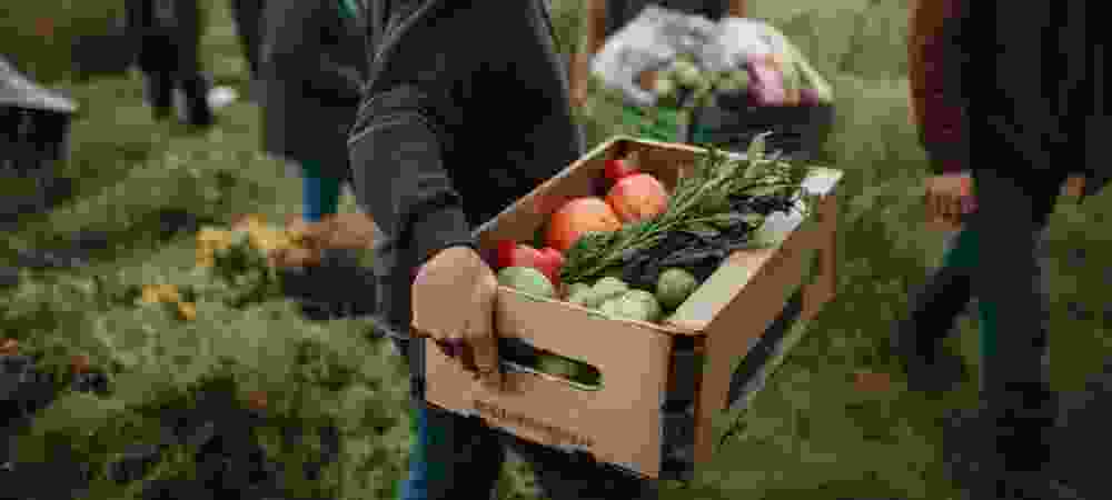 EPPPA - Ethiopian Poultry Producers and Processors Association